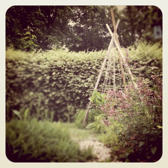 teepee_trellis