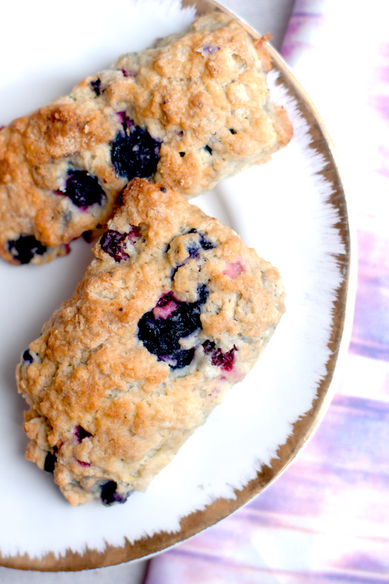 Blueberry Cranberry Scones Recipe Food Photo