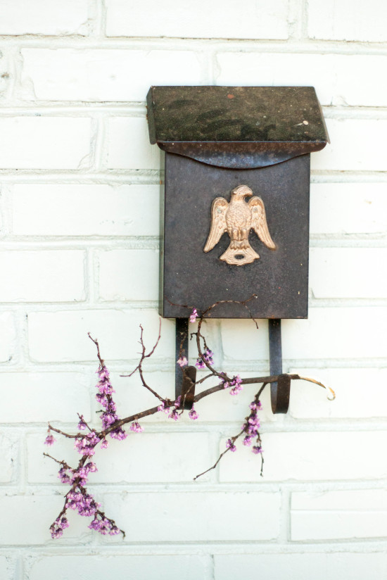 Flowering Branch, Vintage Mailbox